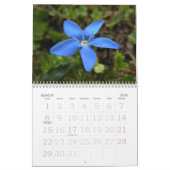 2008人のスイス人の花のショーケースのカレンダー カレンダー (3月 2026)