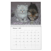 2008匹のシベリア猫Calendar2 sm カレンダー (2月 2027)