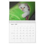2008匹のシベリア猫Calendar2 sm カレンダー (3月 2027)
