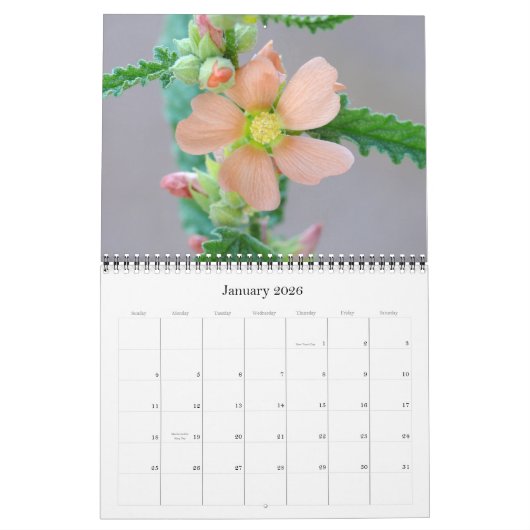 2008年のソノラン砂漠カレンダー カレンダー (1月 2026)