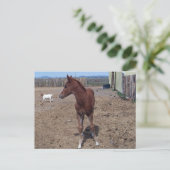 2008年5月フォール ポストカード (スタンド正面)