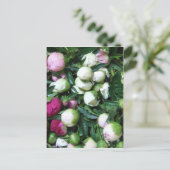 2008牡丹と庭の写真135 ポストカード (スタンド正面)