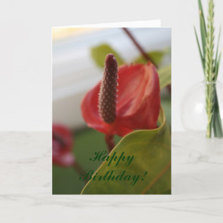 20080427_4、ハッピーバースデー! カード