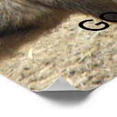 20080606_430、実行する…...... ポスター (角)