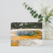 2008 -イエローストーン07 ポストカード (スタンド正面)