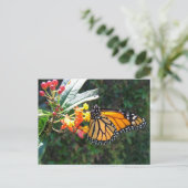 2008_0109_114022 ポストカード (スタンド正面)