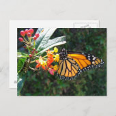 2008_0109_114022 ポストカード (正面/裏面)