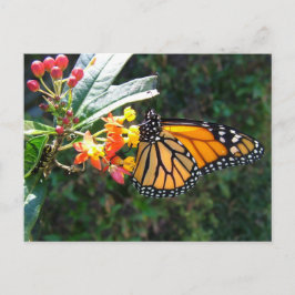 2008_0109_114022 ポストカード