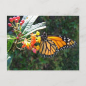 2008_0109_114022 ポストカード (正面)