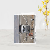 2008 Cessna 172 Skyhawk SPフォトノートカード#1 カード (黄色い花)