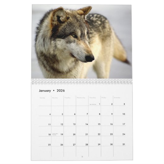 2009カレンダー カレンダー (1月 2026)