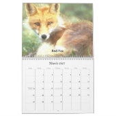 2009人の北米人の野性生物のカレンダー カレンダー (3月 2027)