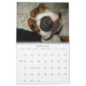 2009匹の犬のカレンダー-カスタマイズ- C… -カスタマイズ カレンダー (3月 2026)