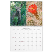 2009年の写真のカレンダー カレンダー (3月 2026)