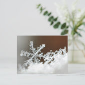 2009年の吹雪 ポストカード (スタンド正面)