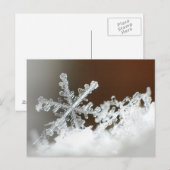 2009年の吹雪 ポストカード (正面/裏面)