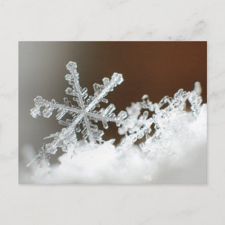 2009年の吹雪 ポストカード