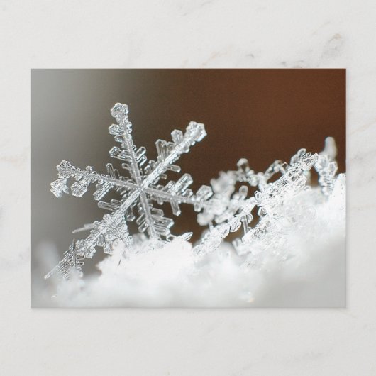 2009年の吹雪 ポストカード (正面)