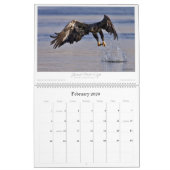 2009年のSplendorousによってはカレンダーが一時滞在します カレンダー (2月 2026)