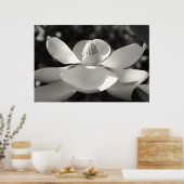 2009年マグノリア1 ポスター (キッチン)