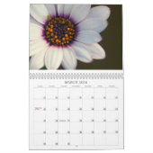 2009年: 美しいおよび希望 カレンダー (3月 2026)