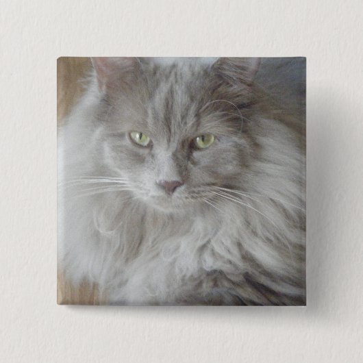 2009_09190028 缶バッジ (正面)