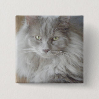 2009_09190028 缶バッジ