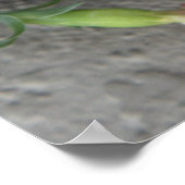 2009-1008プリント/ポスター ポスター (角)