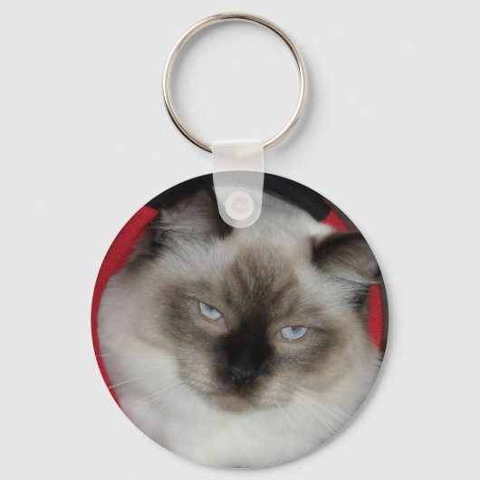 2009_12090051 キーホルダー (正面)