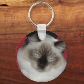 2009_12090051 キーホルダー (正面)