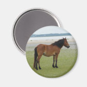 2009-7-20シャックレフォードバンクス00028 マグネット (正面/裏面)