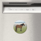 2009-7-20シャックレフォードバンクス00028 マグネット (インサイチュ (食洗機))