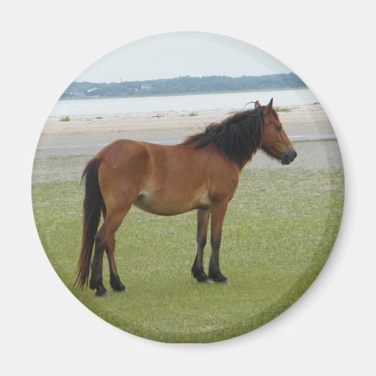 2009-7-20シャックレフォードバンクス00028 マグネット (正面)