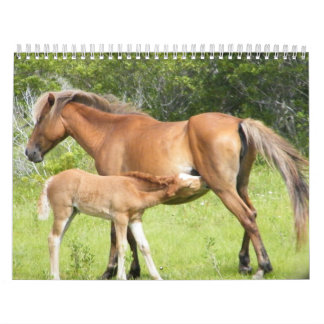 2009-7-23年のライトの花冠00118 カレンダー