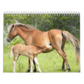 2009-7-23年のライトの花冠00118 カレンダー (カバー)