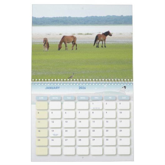 2009-7-23年のライトの花冠00118 カレンダー (1月 2026)