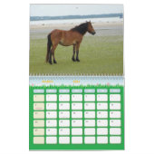 2009-7-23年のライトの花冠00118 カレンダー (3月 2026)