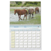 2009-7-23年のライトの花冠00118 カレンダー (2月 2026)