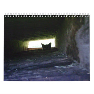 2009 Feral Soul Inc.野生猫のカレンダーを愛します カレンダー