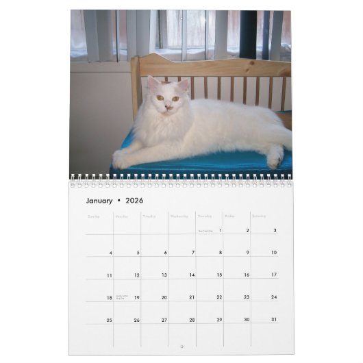 2009 Feral Soul Inc.野生猫のカレンダーを愛します カレンダー (1月 2026)