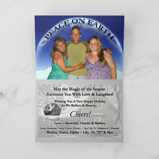 2009HolidayCupcakeCatsSnowglobeFlat シーズンカード (内部)