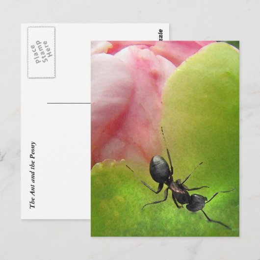 200.アリと牡丹 ポストカード (正面/裏面)