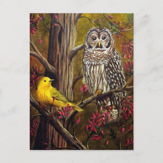 200.フクロウとカナリア ポストカード (正面)