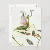 201祈年 ポストカード (正面/裏面)