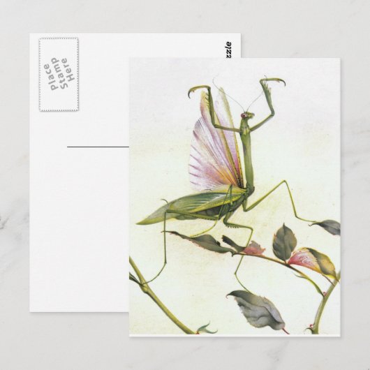 201祈年 ポストカード (正面/裏面)