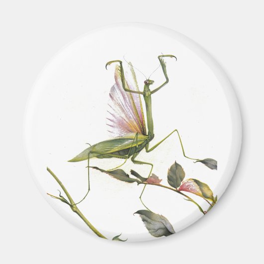 201祈年 マグネット (正面)