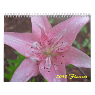 2010の花 カレンダー