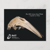 2010アロヨグレイ鯨 – クジラの足跡 ポストカード (正面)