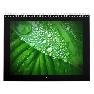 2010カレンダー カレンダー