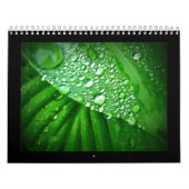 2010カレンダー カレンダー (カバー)